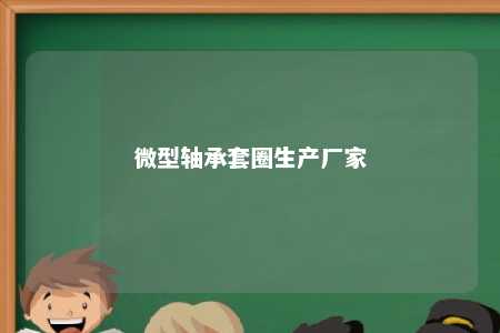 微型轴承套圈生产厂家 