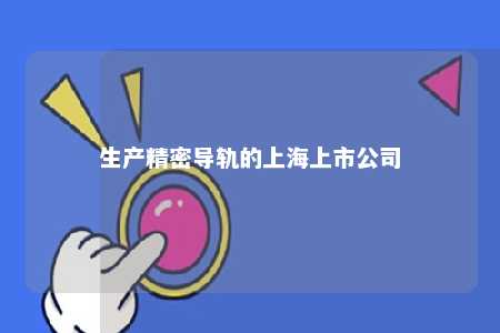 生产精密导轨的上海上市公司 